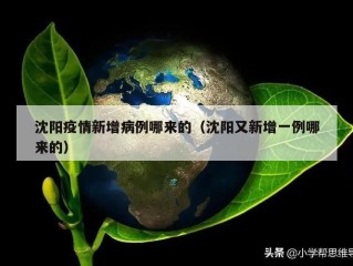 沈阳疫情新增病例哪来的（沈阳又新增一例哪来的）